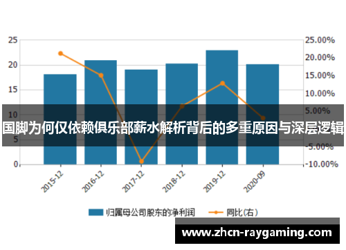 国脚为何仅依赖俱乐部薪水解析背后的多重原因与深层逻辑