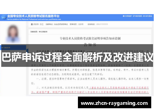 巴萨申诉过程全面解析及改进建议