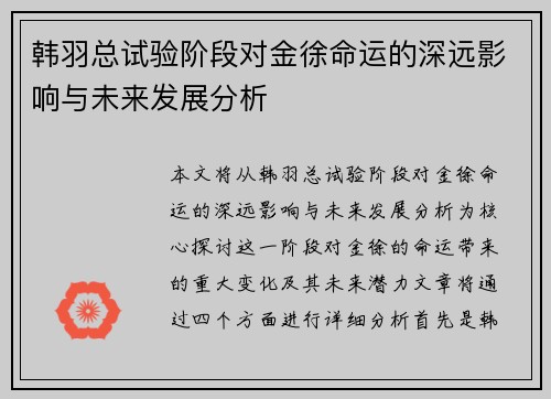 韩羽总试验阶段对金徐命运的深远影响与未来发展分析