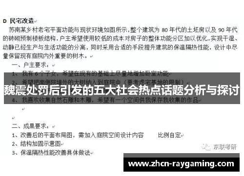 魏震处罚后引发的五大社会热点话题分析与探讨